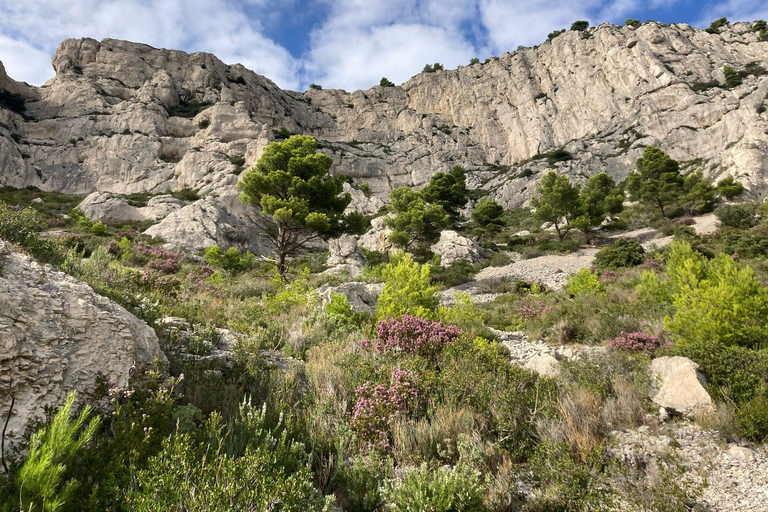 Calanques Ridge Trek with Panoramic Mediterranean Views