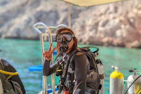 Île de Daymaniyat : Aventure de 2 plongées !