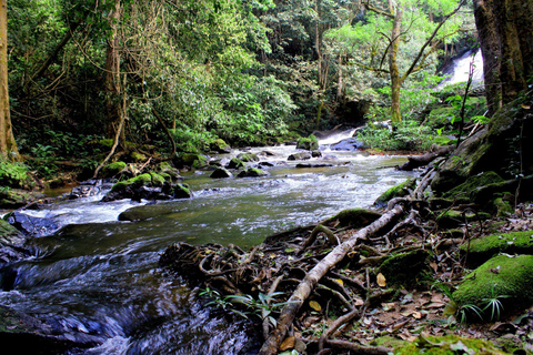 Chiang Mai: Pha Dok Siew naturled &amp; resa till Doi Inthanon