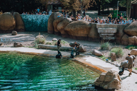 From Kraków: Private Tour to Wrocław with a personal driver