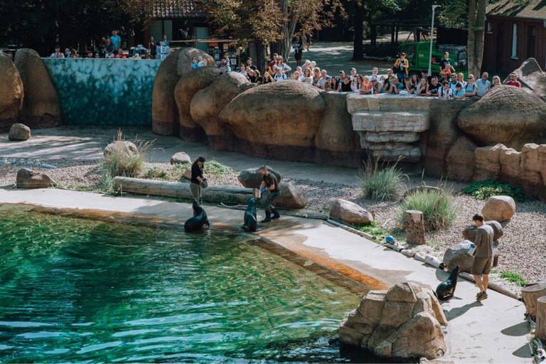 From Kraków: Private Tour to Wrocław with a personal driver