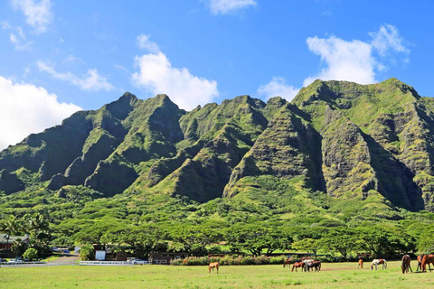 From Waikiki: Circle Island Tour