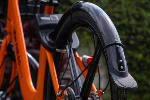 Paje: Full-Day Bike Rental with Helmet and Lock