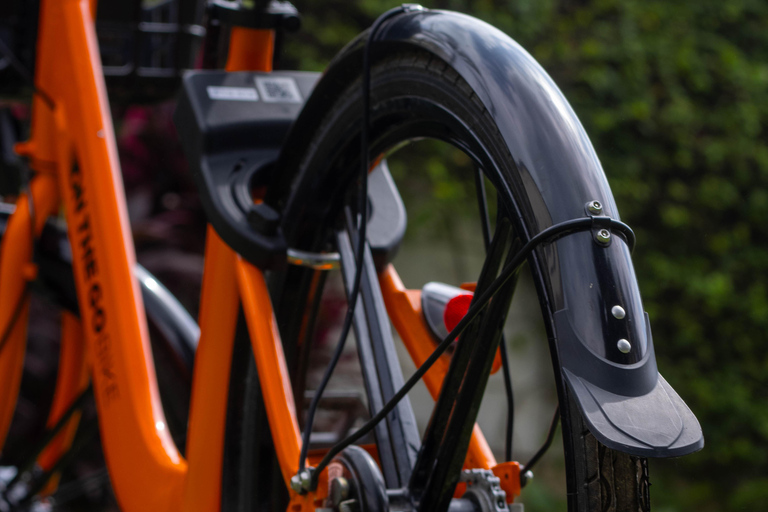 Paje: Full-Day Bike Rental with Helmet and Lock