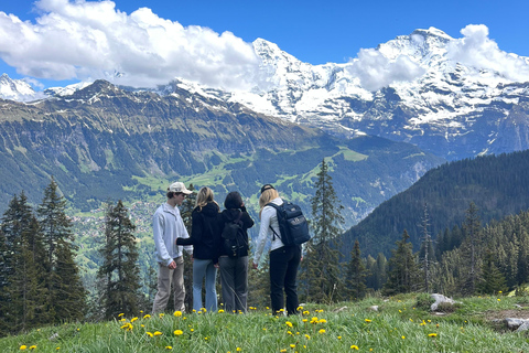Interlaken: Scenic hiking tour from Mürren to Rotstock hut.