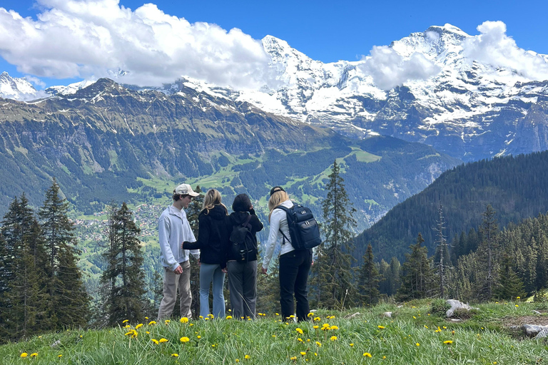 Interlaken: Scenic hiking tour from Mürren to Rotstock hut.
