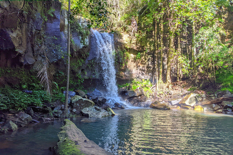 Vanuit Brisbane: Tamborine Mountain en Paradise Point Tour