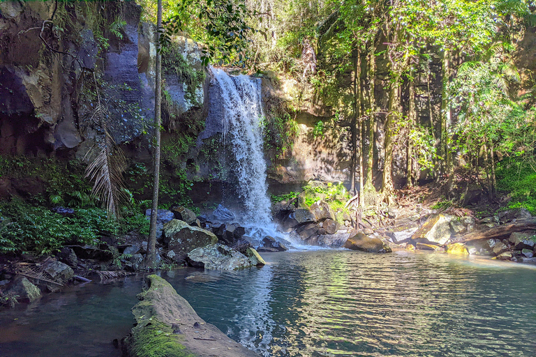 Från Brisbane: Tamborine Mountain och Paradise Point Tour