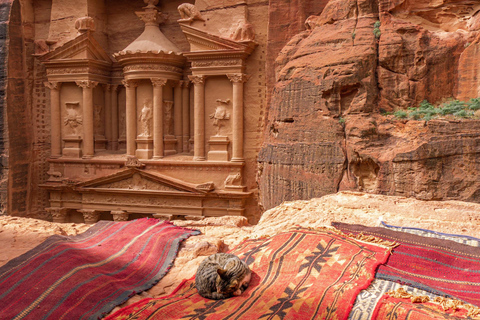 From Amman: Private Day Tour to Petra &amp; Wadi RumTour with Transportation Only