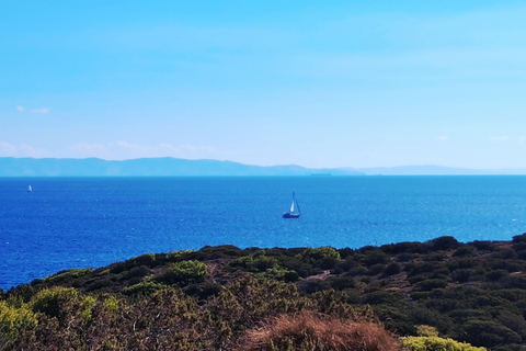 Athens: Cape Sounio & Temlpe Poseidon Swimming & Sunset Tour Sunset Tour with swimming