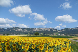 From Vienna: Hohe Wand Guided Hiking Tour with Pickup