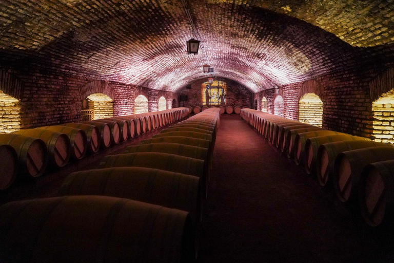 Santiago: Official Transfer to Concha y Toro Winery Transfer from Parque Arauco Meeting Point