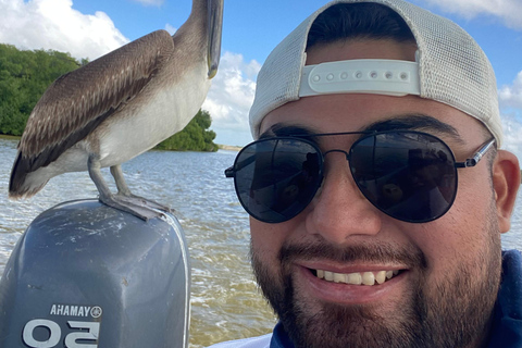 Flamingo Classic: Rio Lagartos and Las Coloradas