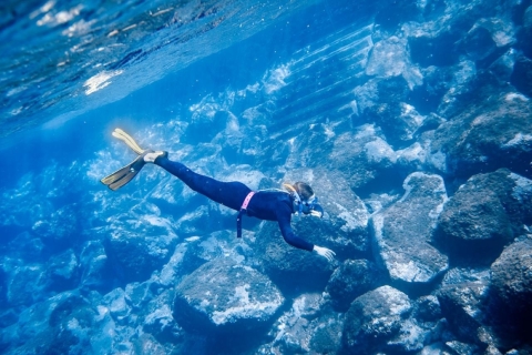 Tenerife : Snorkeling & Free-diving with Apnea Instructor Snorkeling Diving in Tenerife with Apnea Instructor