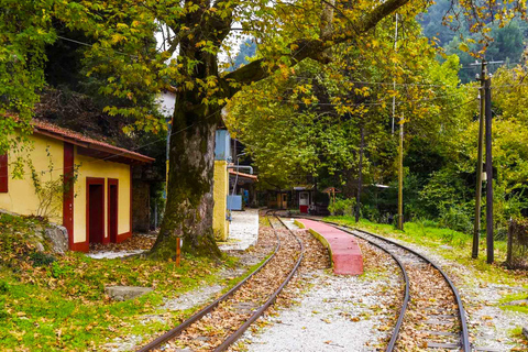 VIP Day Tour From Athens: Mt. Helmos National Park Exploring Kalavryta Village & Tsivlos Lake Trek