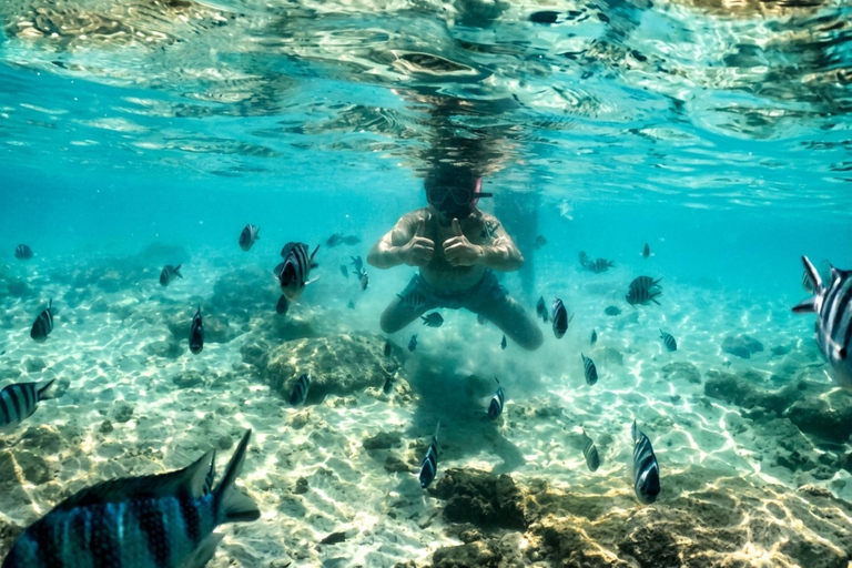 Pattaya: Koh Talu & 7 Islands Speedboat Tour with Lunch