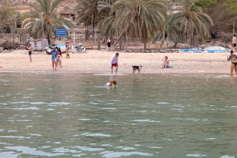 From Dubai/Sharjah/RAK: Musandam Dibba Day Cruise