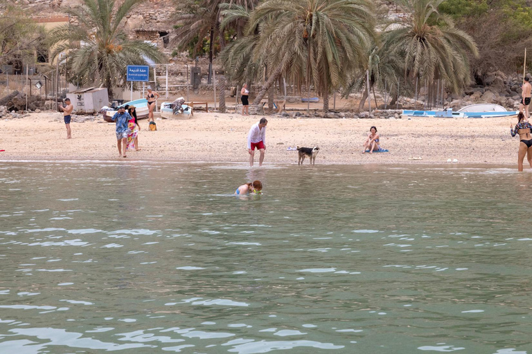 From Dubai/Sharjah/RAK: Musandam Dibba Day Cruise