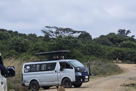 Nairobi Park Safari, Sheldrick's Orphanage & Giraffe Center Shared Drive in Open-Roof Van Game Drive