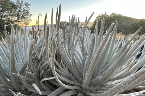 Mauna Kea: wędrówka o zachodzie słońca i wschód gwiazd z rdzennymi mieszkańcami HawajówMauna Kea: Wycieczka o zachodzie słońca i wschód gwiazd z rdzennymi mieszkańcami H