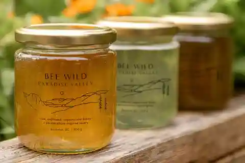 Squamish: Honey Tour Experience