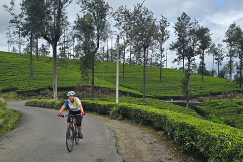 Sri Lanka 14-Day Small-Group Cycling Tour