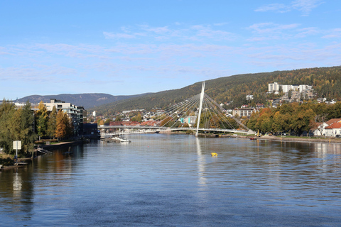 Oslo: Exclusive Hidden Gems, Waterfall & Scenic Luxury Tour