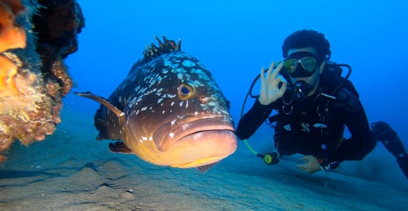 Your first Discover Scuba Diving dive in Lanzarote with FREE photos
