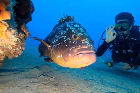 Descubra o mergulho em Puerto de Carmen 2 mergulhos. Fotos gratuitas