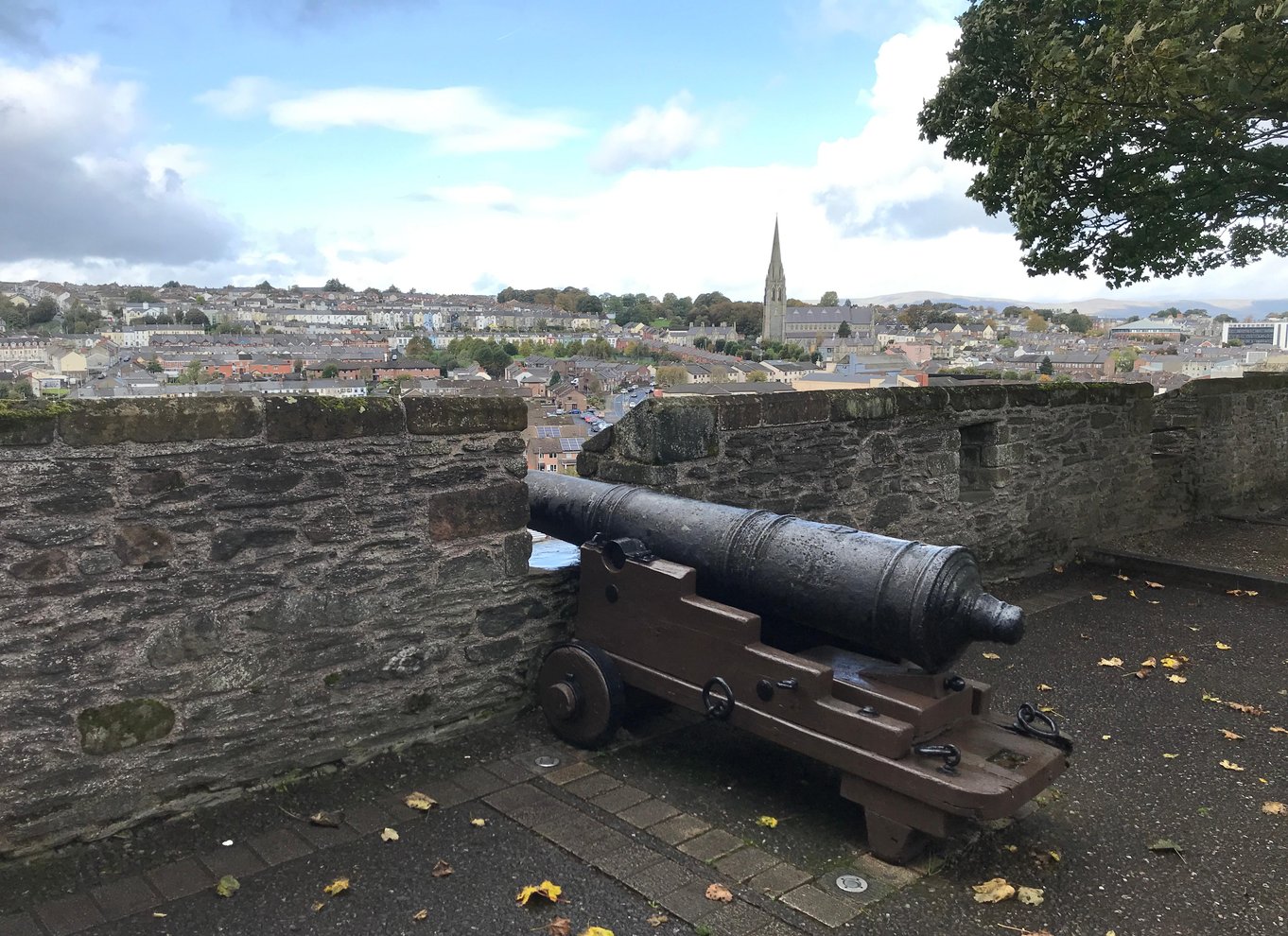 Komplet byrundvisning i Derry