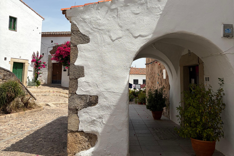 Cáceres: Full Sightseeing Tour of the Historic Center with Local Guide in Spanish