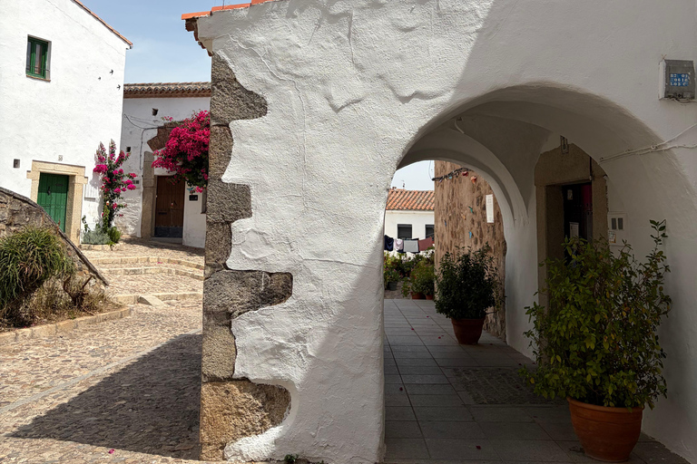 Cáceres: Full Sightseeing Tour of the Historic Center with Local Guide in Spanish
