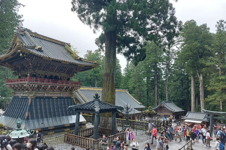 Excursion privée d&#039;une journée à Nikko avec guides anglophones