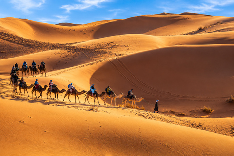 From Fes: 3-Day Sahara Tour to Marrakech, 2 Desert Nights Option 2 — Luxury Desert Camp