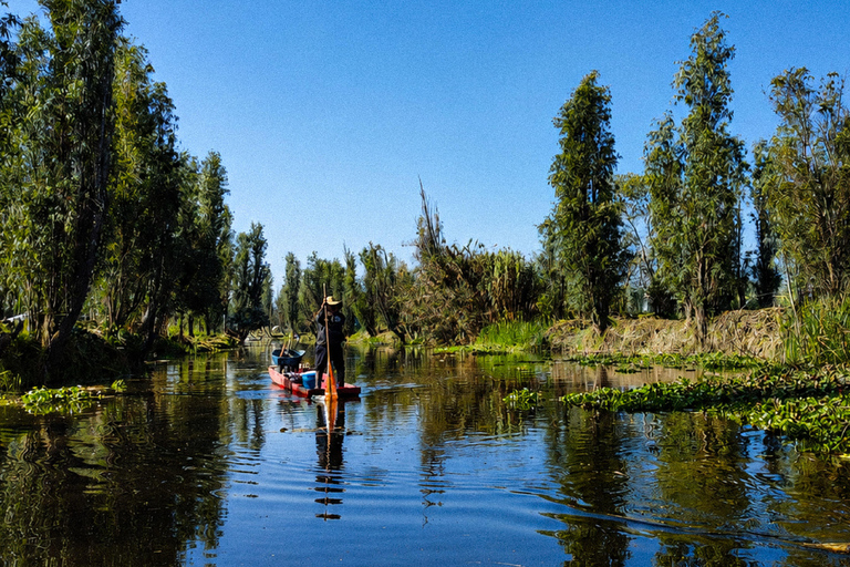 Xochimilco: Chinampa and Axolotl Boat Tour