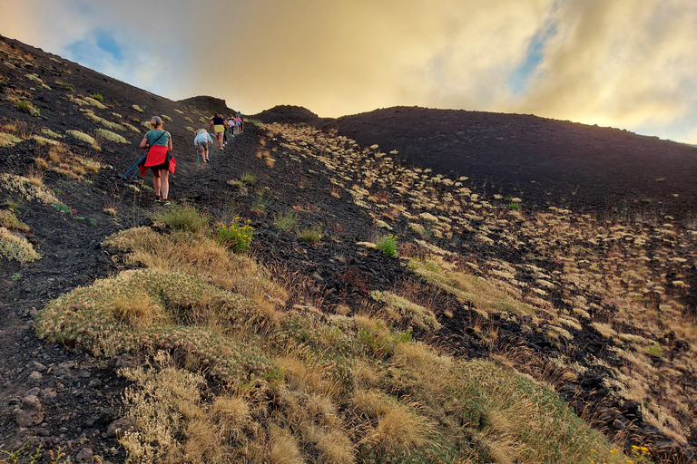 Catania: Tour dell'Etna 3000m con prelievo dall'hotel