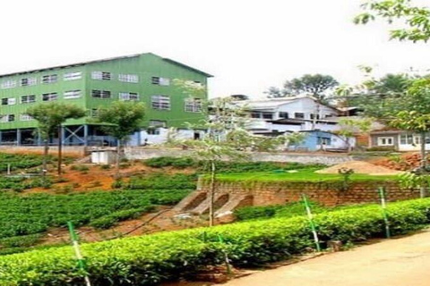 Bangalore, Mysore & Ooty Multi‑Day Tour Bangalore, Mysore & Ooty Guided Tour with 4*Star Hotel