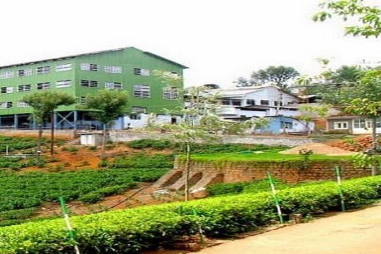 Bangalore, Mysore & Ooty Multi‑Day Tour Bangalore, Mysore & Ooty Guided Tour with 4*Star Hotel