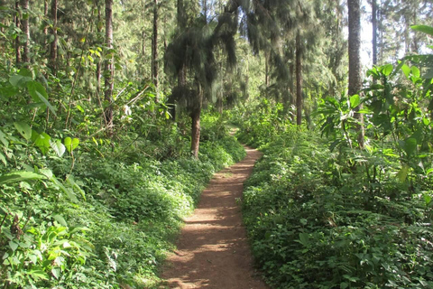 From Arusha: Napuru Waterfalls Guided Hike with Lunch