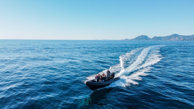 Visit Cannes: Scenic Coves RIB Boat Tour in Cannes