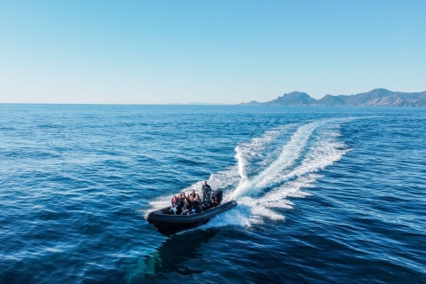 Cannes: Rejs statkiem RIB po malowniczych zatoczkach