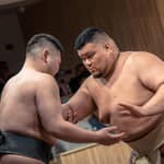 Tokyo: spettacolo di sumo a Shinjuku con foto