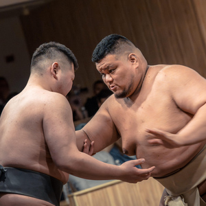 Tokyo: Shinjuku Sumo Show & Experience with Photo