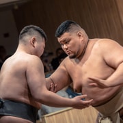 Tokyo: Shinjuku Sumo Show & Experience with Photo