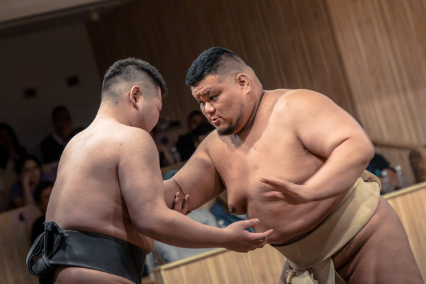 Tokyo: Shinjuku Sumo Show & Experience with Photo