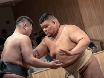 Shinjuku Sumo Show and Experience with Photo