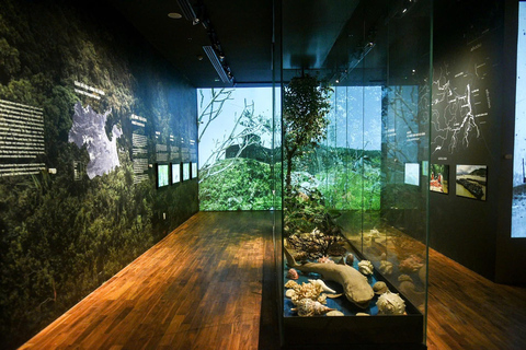 Da Nang: Halvdagsutflykt till historiska platserPrivat tur (2–4 personer)