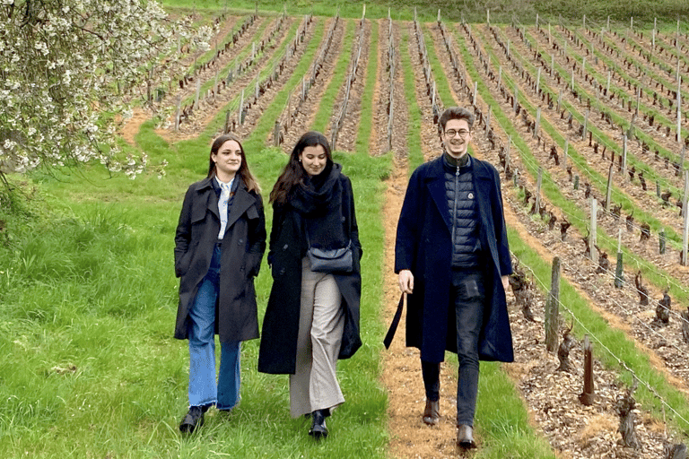 Au départ de Paris : Excursion à SANCERRE avec 10 dégustations et déjeuner