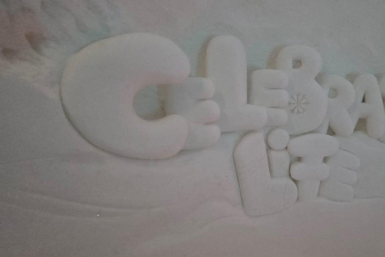 Levi: Private Snow Village tour. Northern lights possibility