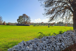 Alberobello: tour guidato in e-bike a Locorotondo + gelato